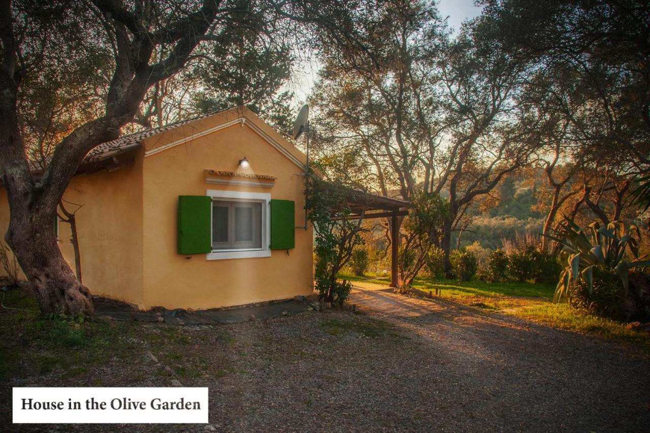 House In The Olive Garden Apartment Ágios Ioánnis Exterior photo