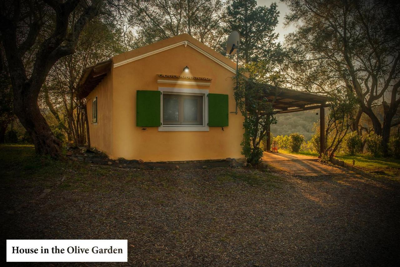 House In The Olive Garden Apartment Ágios Ioánnis Exterior photo