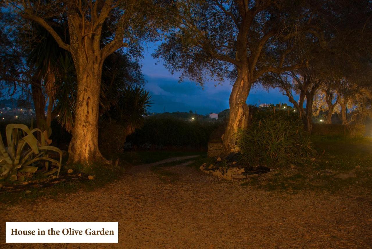 House In The Olive Garden Apartment Ágios Ioánnis Exterior photo